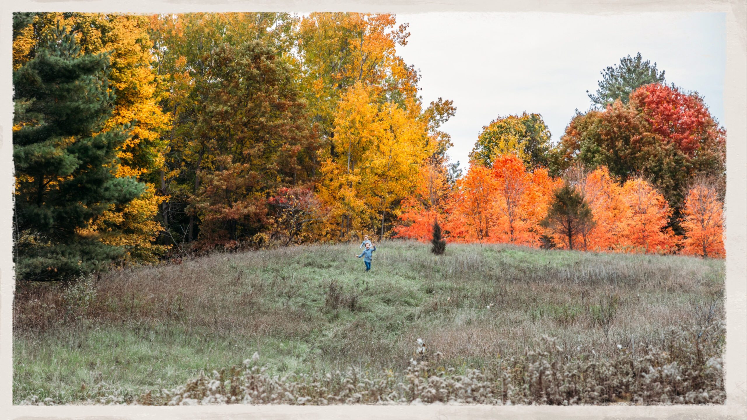 family photo in Metro Detroit park, Stony Creek